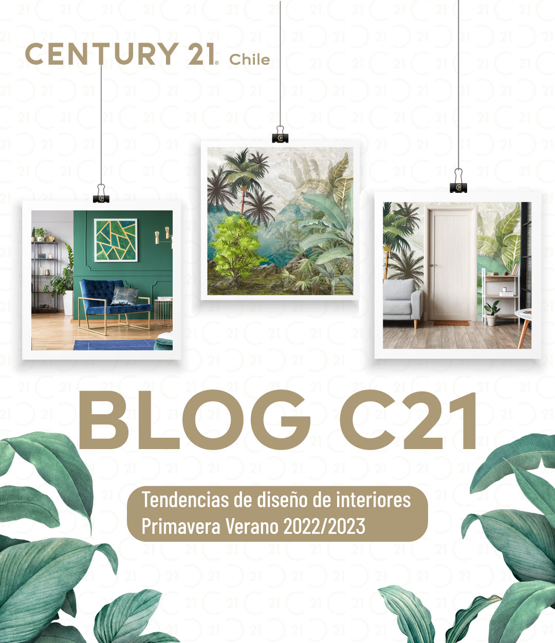 BlogC21-portada-blog22-jpg